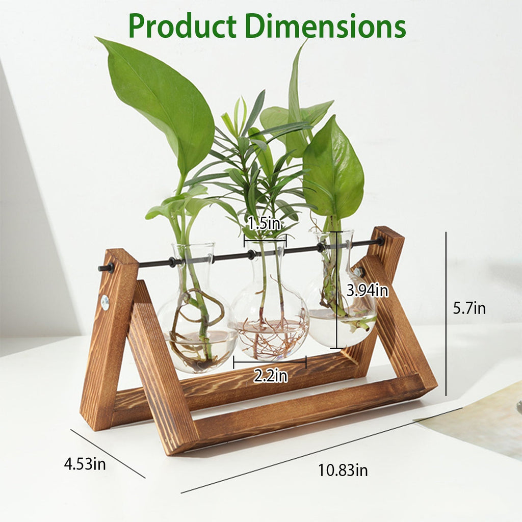 Desktop Glass Propagation Planter with Wooden Stand