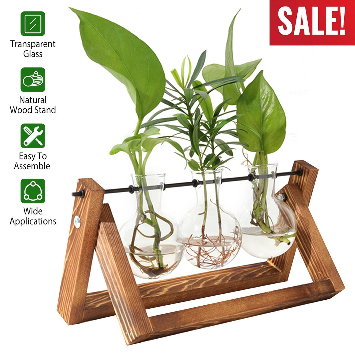 Desktop Glass Propagation Planter with Wooden Stand