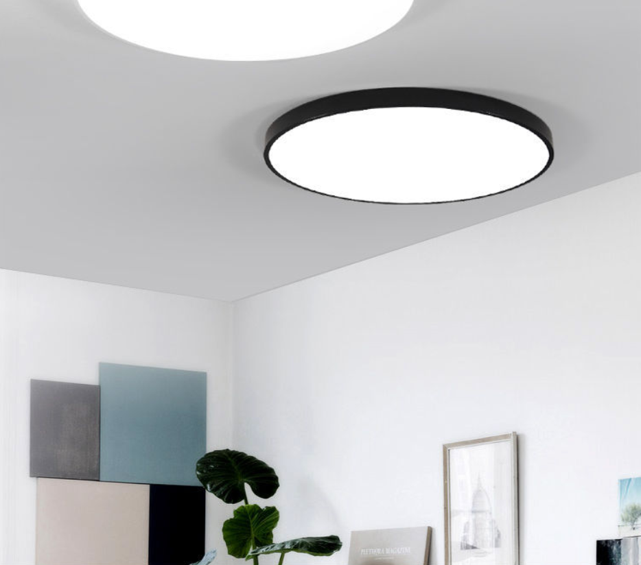 Ceiling Light Fixture for Bedroom and Living Room