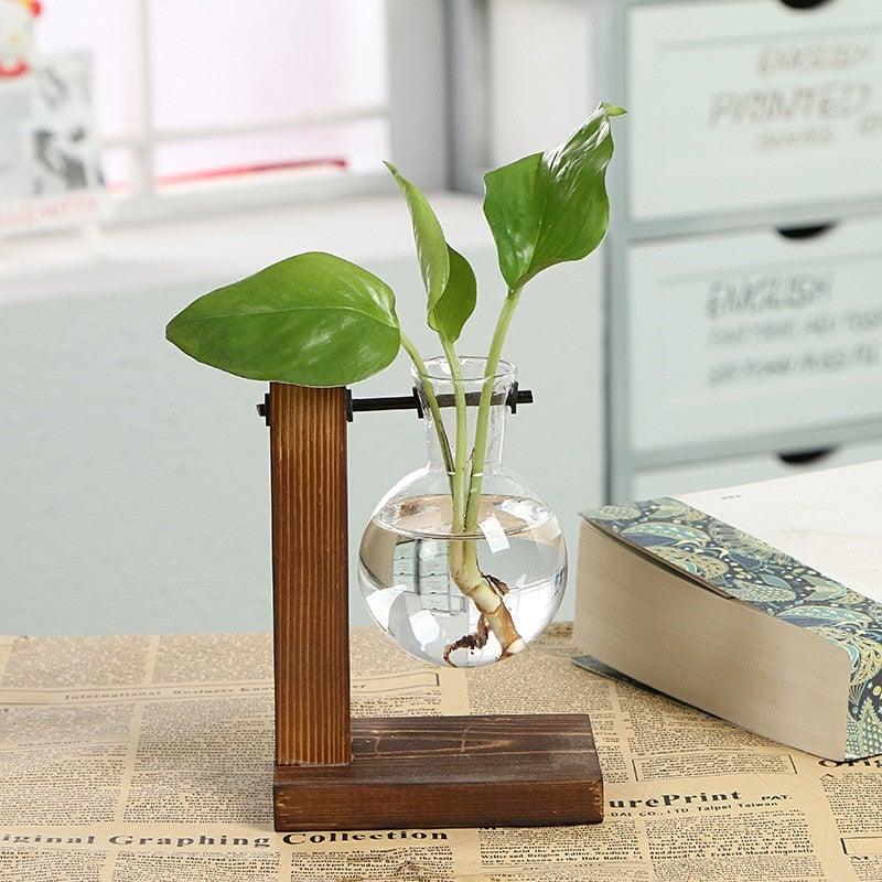 Glass Propagation Station with Wooden Stand