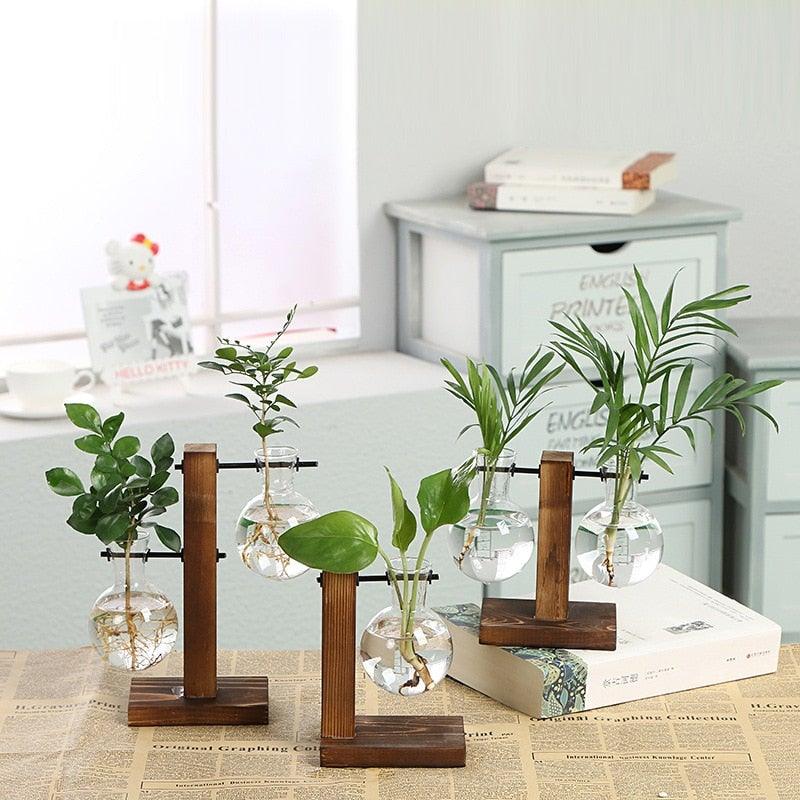Glass Propagation Station with Wooden Stand