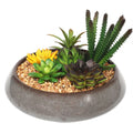 Potted Faux Succulents in Decorative Bowl