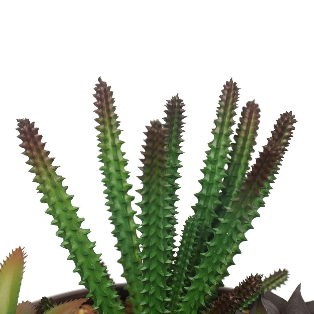 Potted Faux Succulents in Decorative Bowl