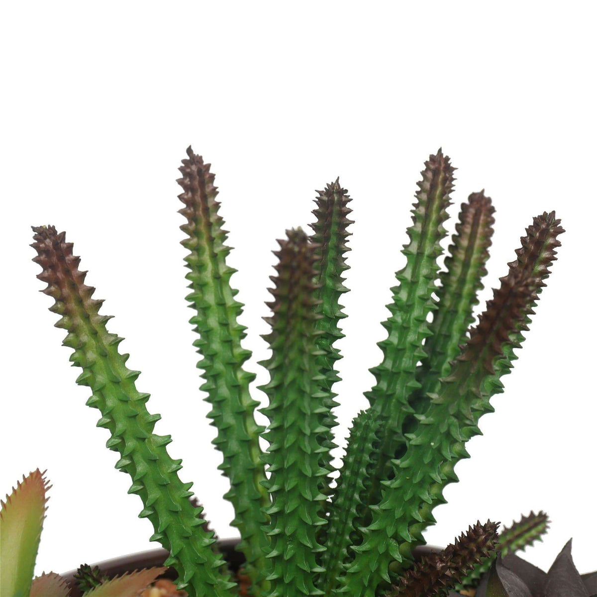 Potted Faux Succulents in Decorative Bowl