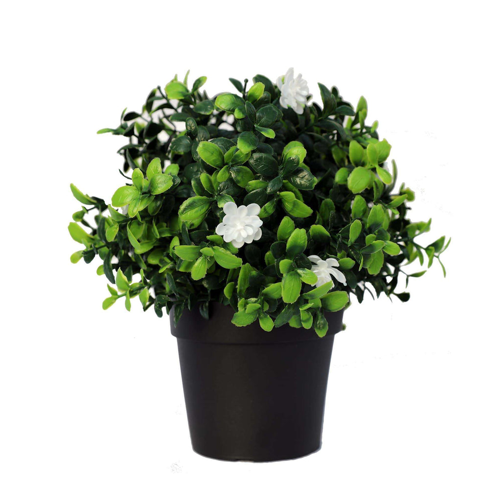 20cm UV-Resistant Faux Boxwood Plant