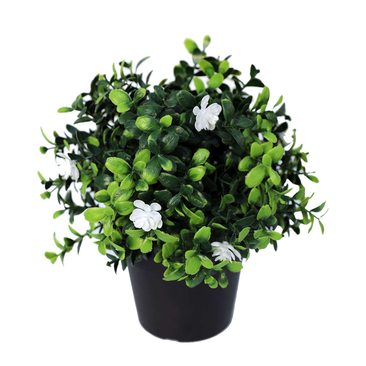 20cm UV-Resistant Faux Boxwood Plant