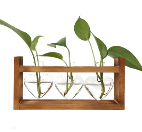 Heart-Shaped Glass Vase with Wood Stand
